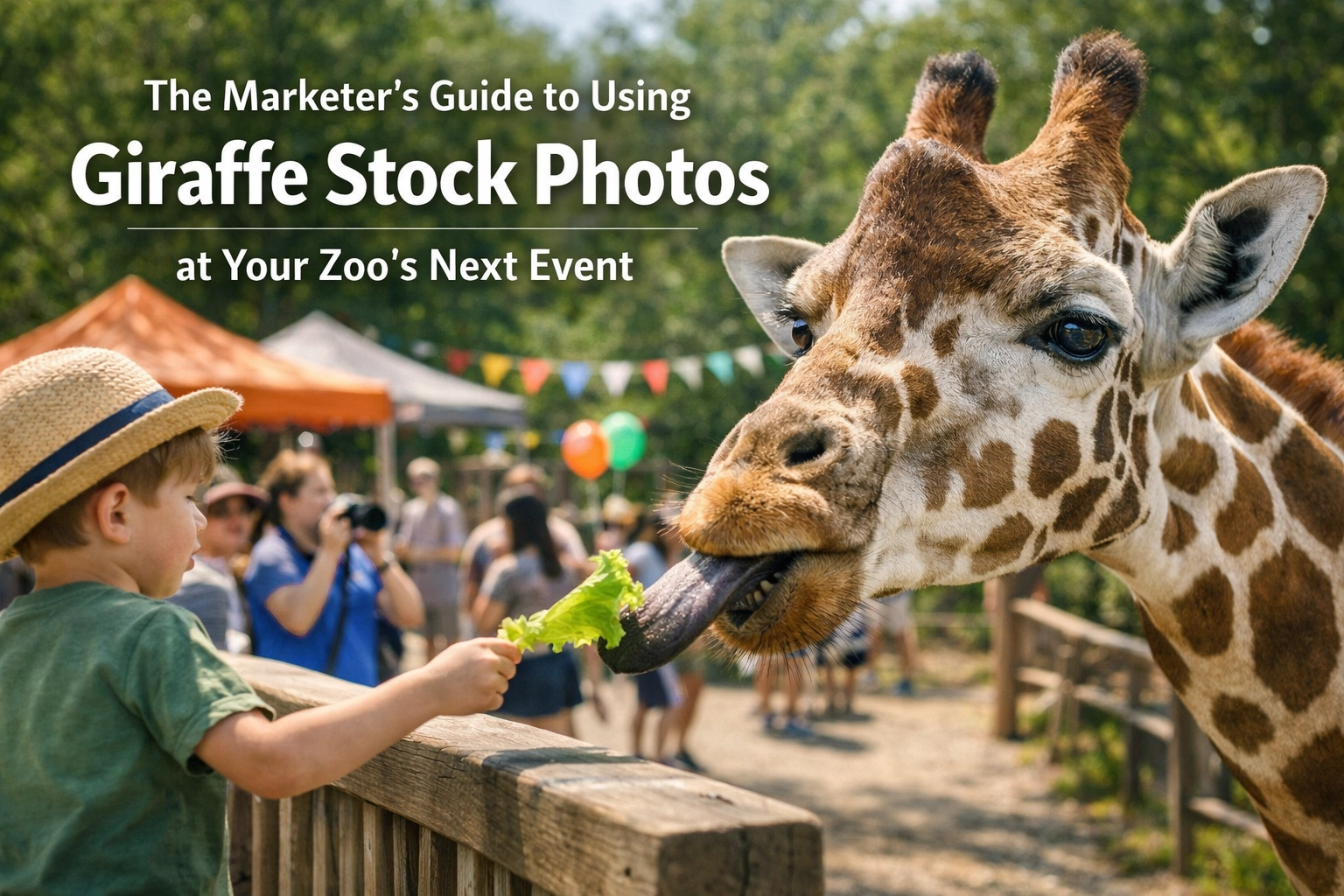 The Marketer's Guide to Using Giraffe Stock Photos at Your Zoo’s Next Event