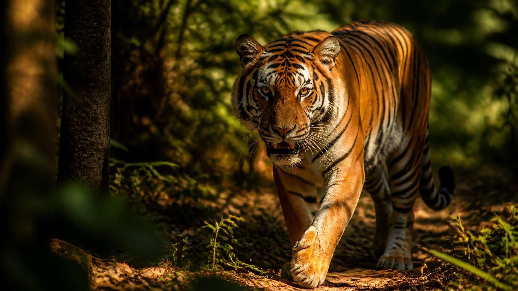 The Ultimate Guide to Animal Stock Photos: Everything You Need to Succeed in Conservation Media