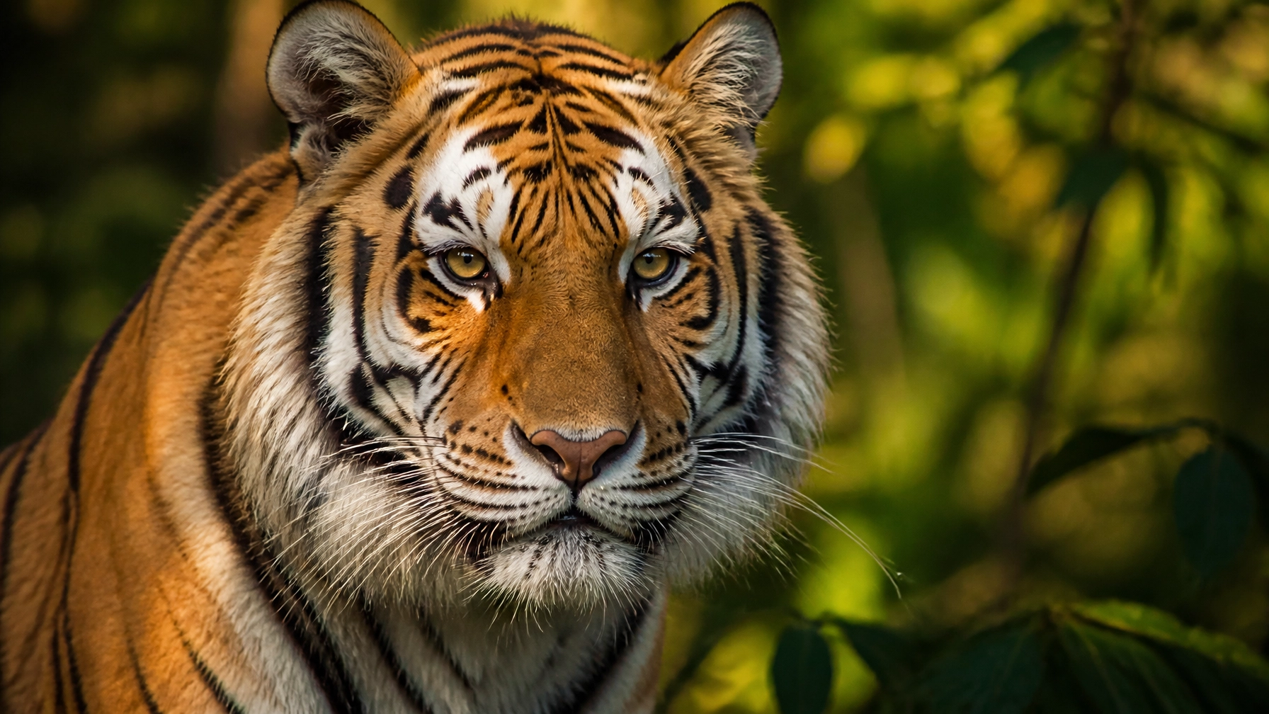 5 Steps How to Use Species Spotlights and Drive Zoo Animal Photos Engagement (Easy Guide for Marketers)