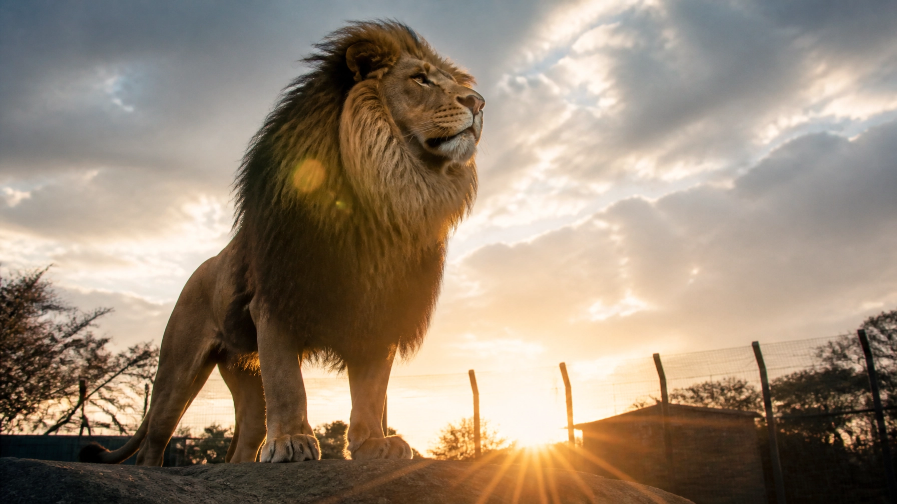 Sustainable Wildlife Marketing Matters: Why Real Zoo Animal Photos Drive Better Results