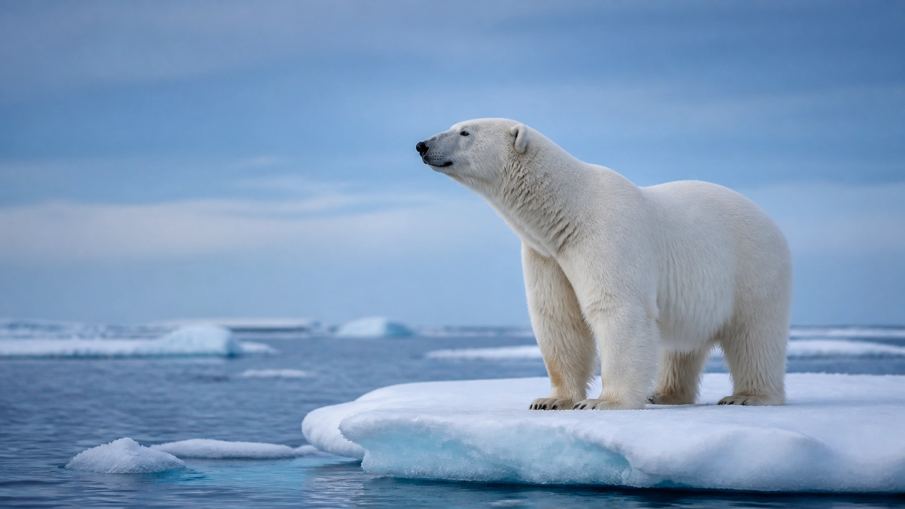 Stop Wasting Time Searching for Zoo Animal Photos: Try These 7 Sponsored Spotlight Hacks