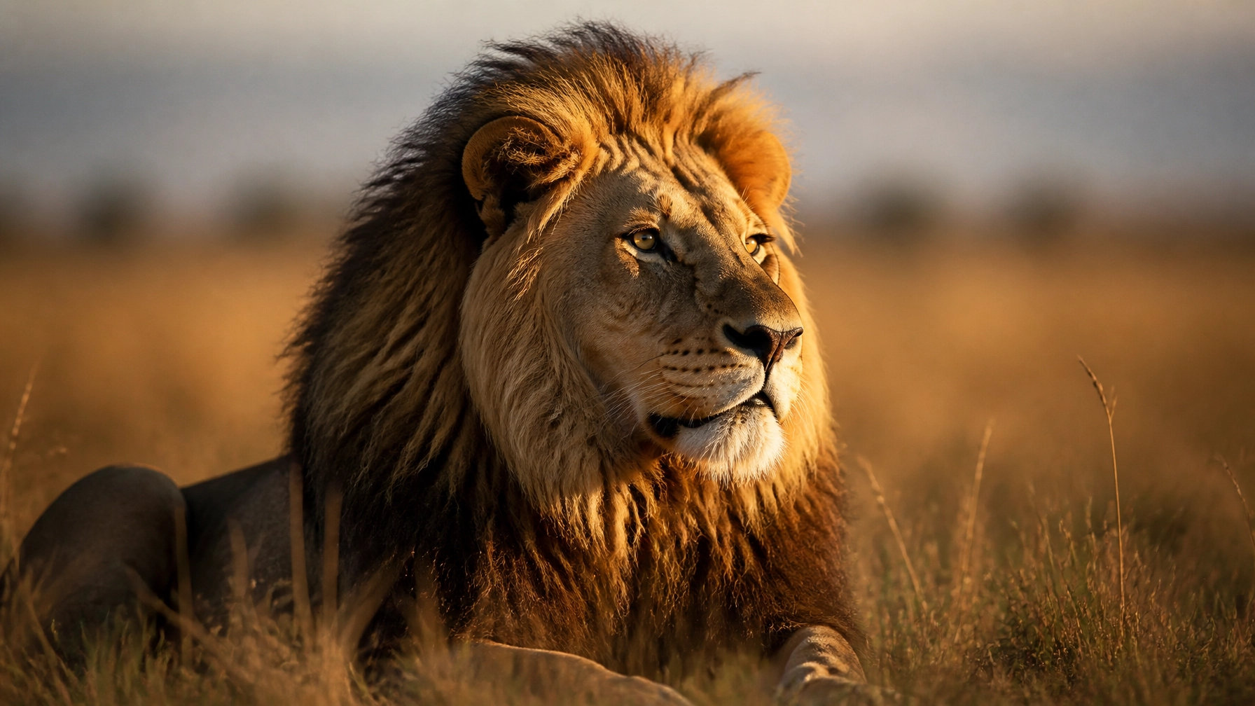 7 Mistakes You’re Making with Wildlife Marketing (and How to Fix Them with Better Animal Stock Photos)