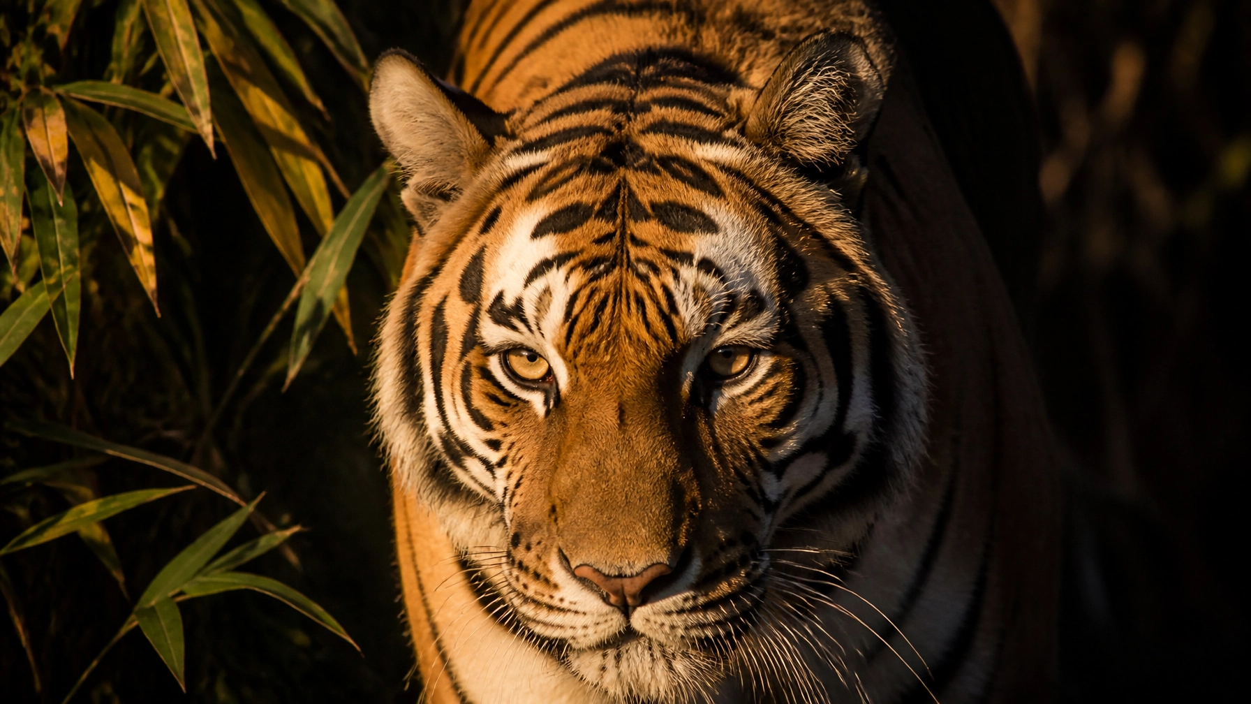 7 Mistakes You’re Making with Zoo Animal Photos (and How to Fix Them)
