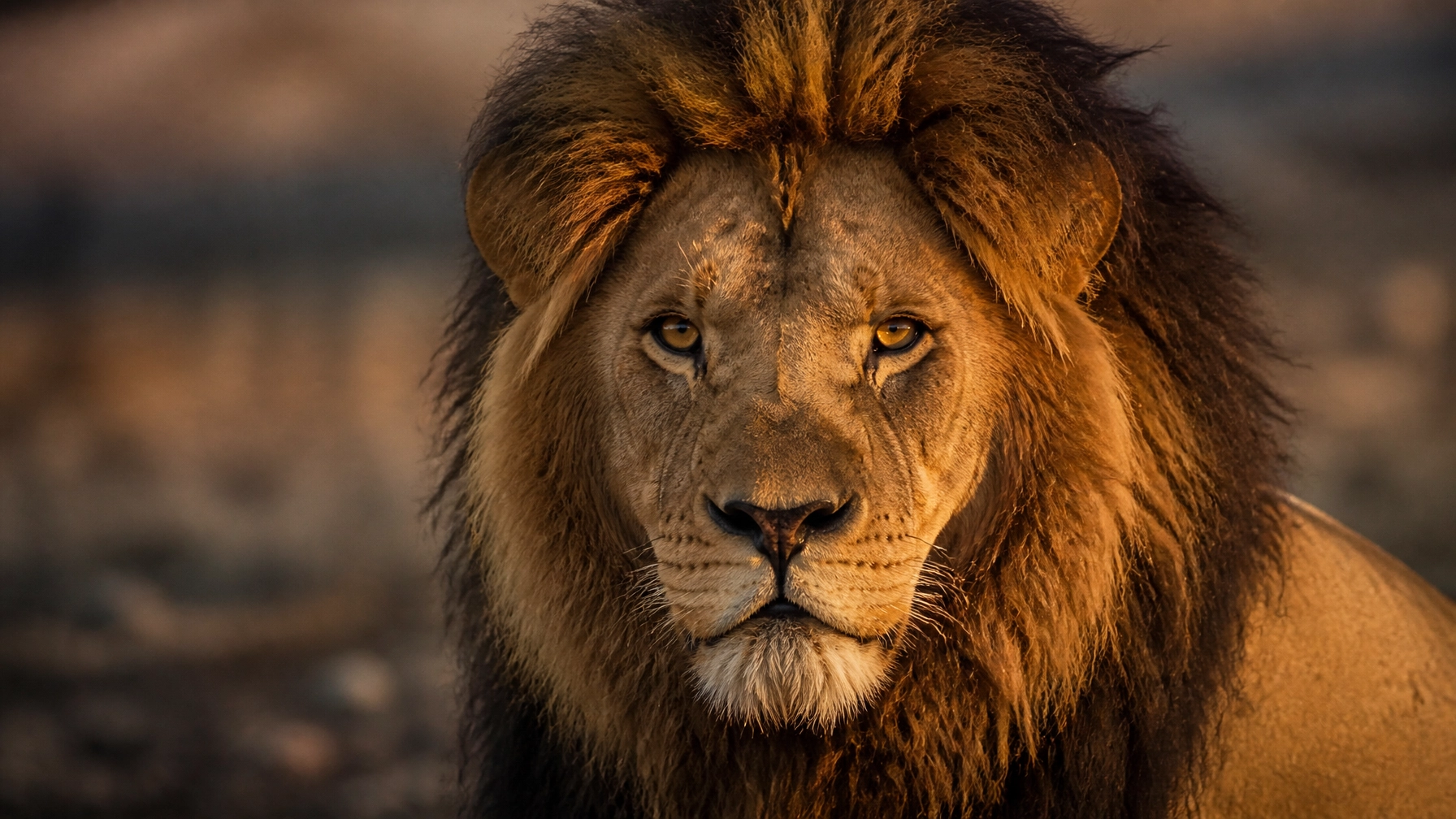 Daily Blog: Animal Photography & Zoo Marketing – July 25, 2026