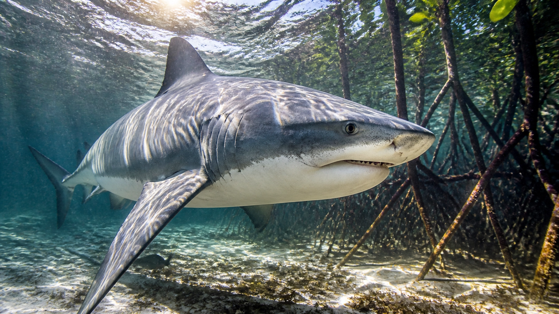 Daily Newsletter: Sustainable Wildlife Marketing Insights – July 31, 2026