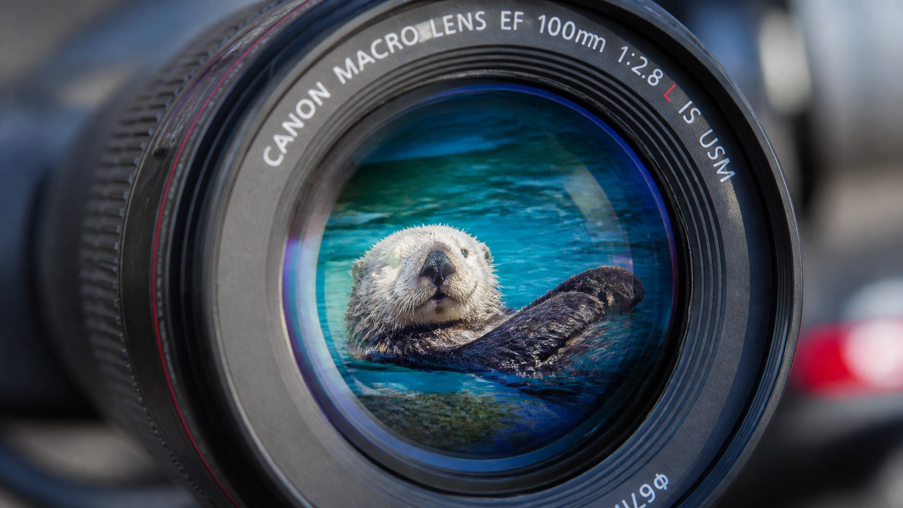 Daily Newsletter: Sustainable Wildlife Marketing Insights – July 22, 2026