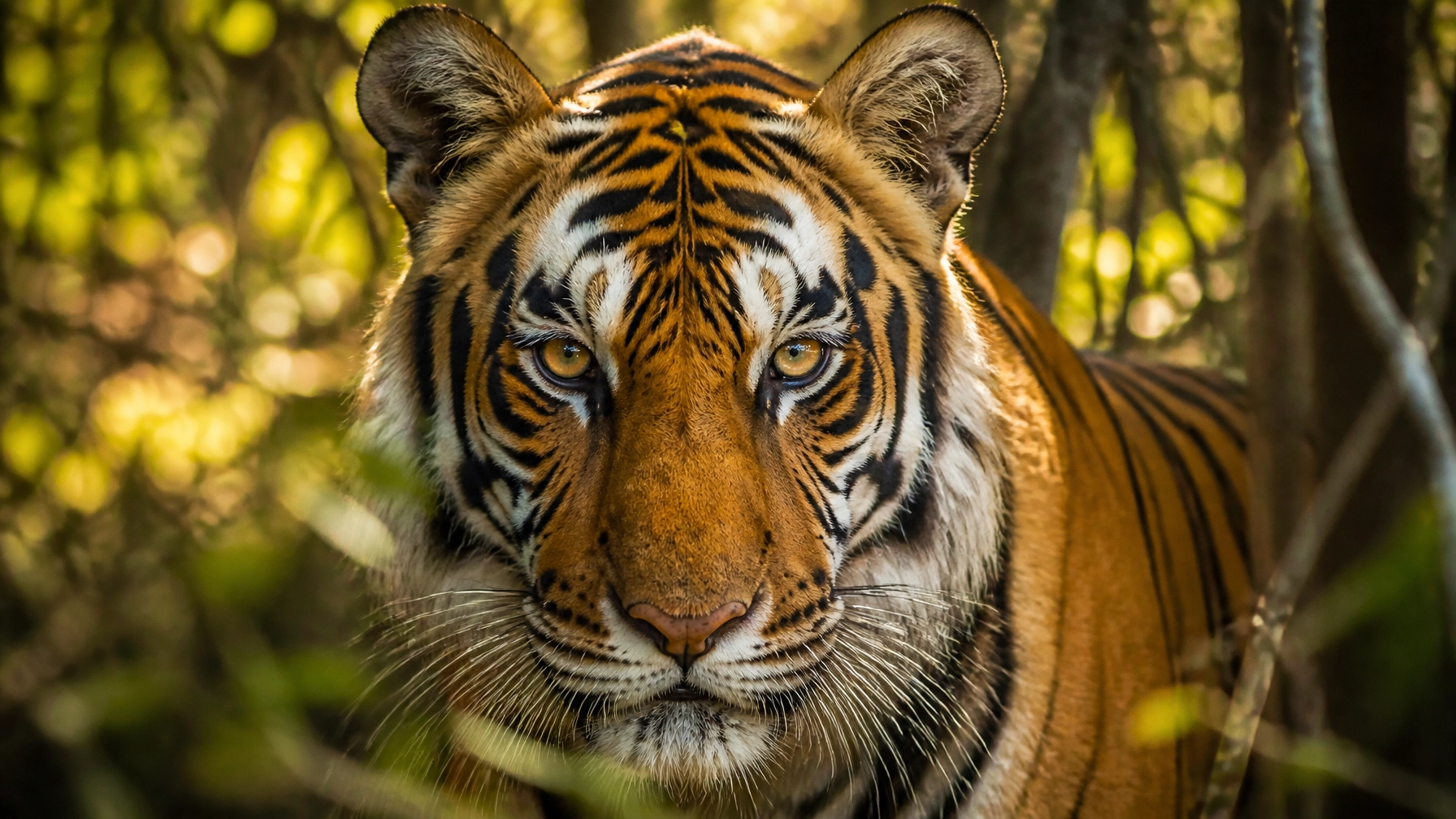 Why Everyone Is Talking About Zoo Animal Photos (And Why Species Spotlights Matter)