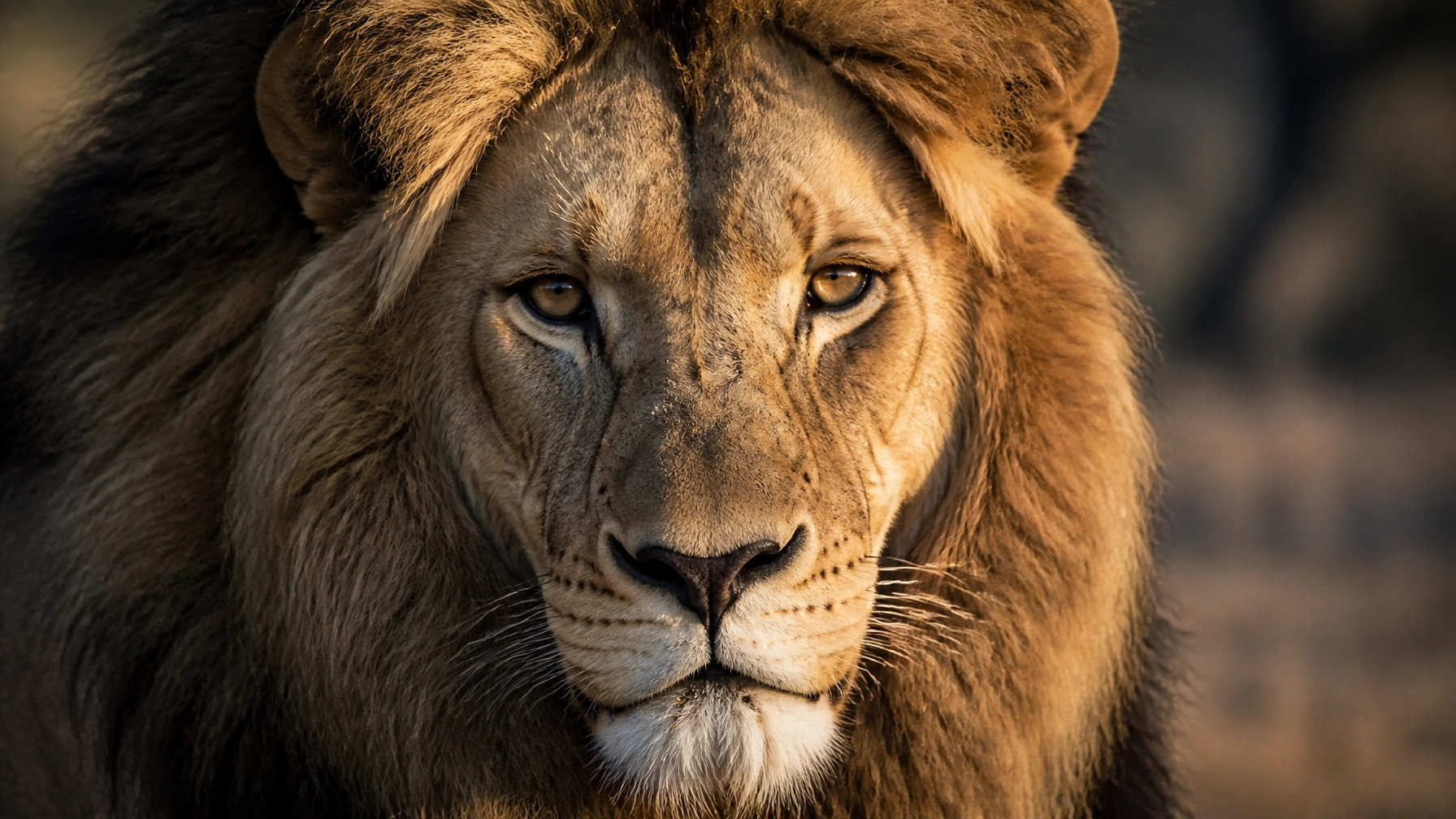 10 Reasons Your Zoo Animal Photos Aren’t Working (And How to Fix It)