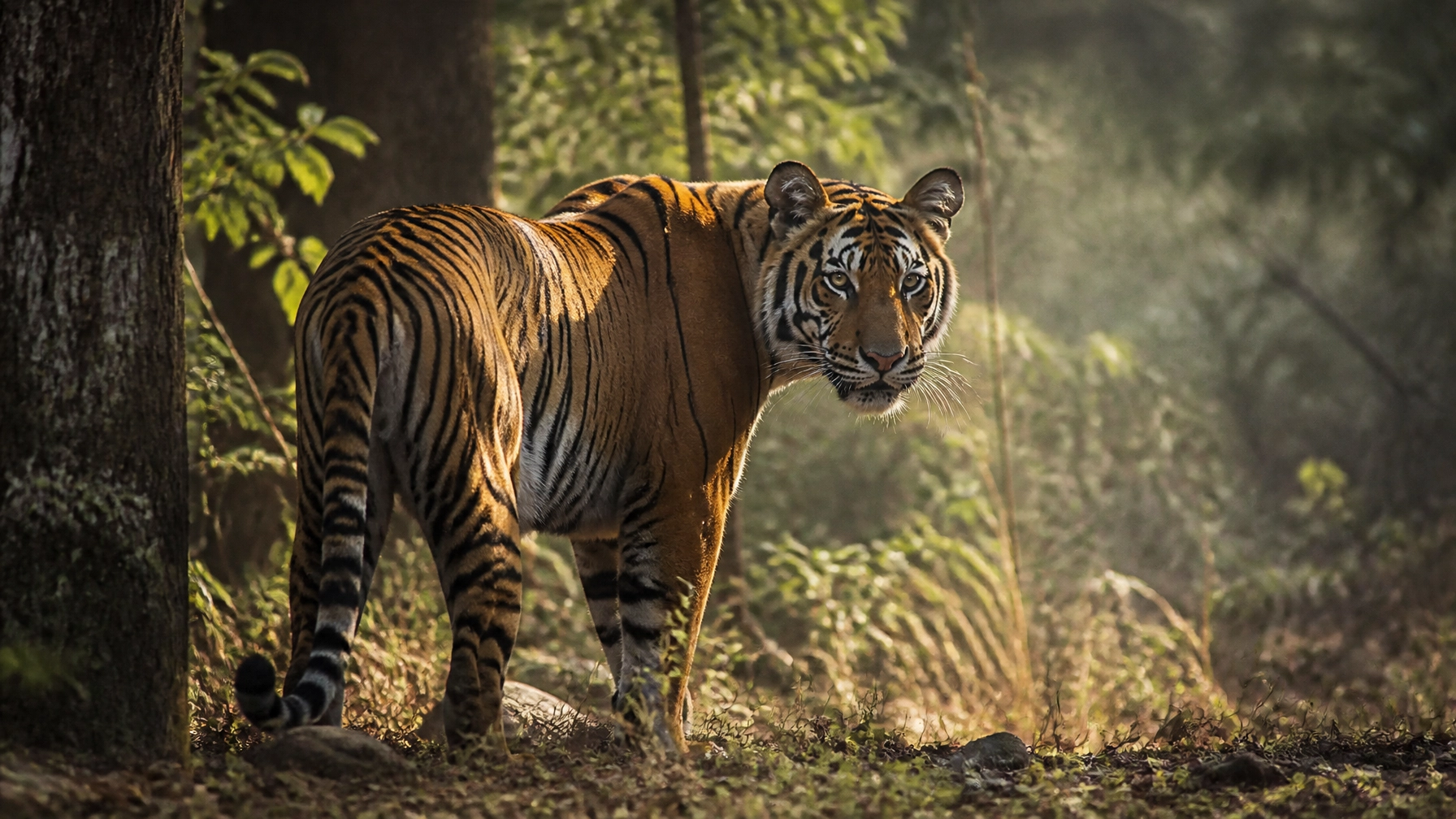 Daily Blog: Animal Photography & Zoo Marketing – August 9, 2026