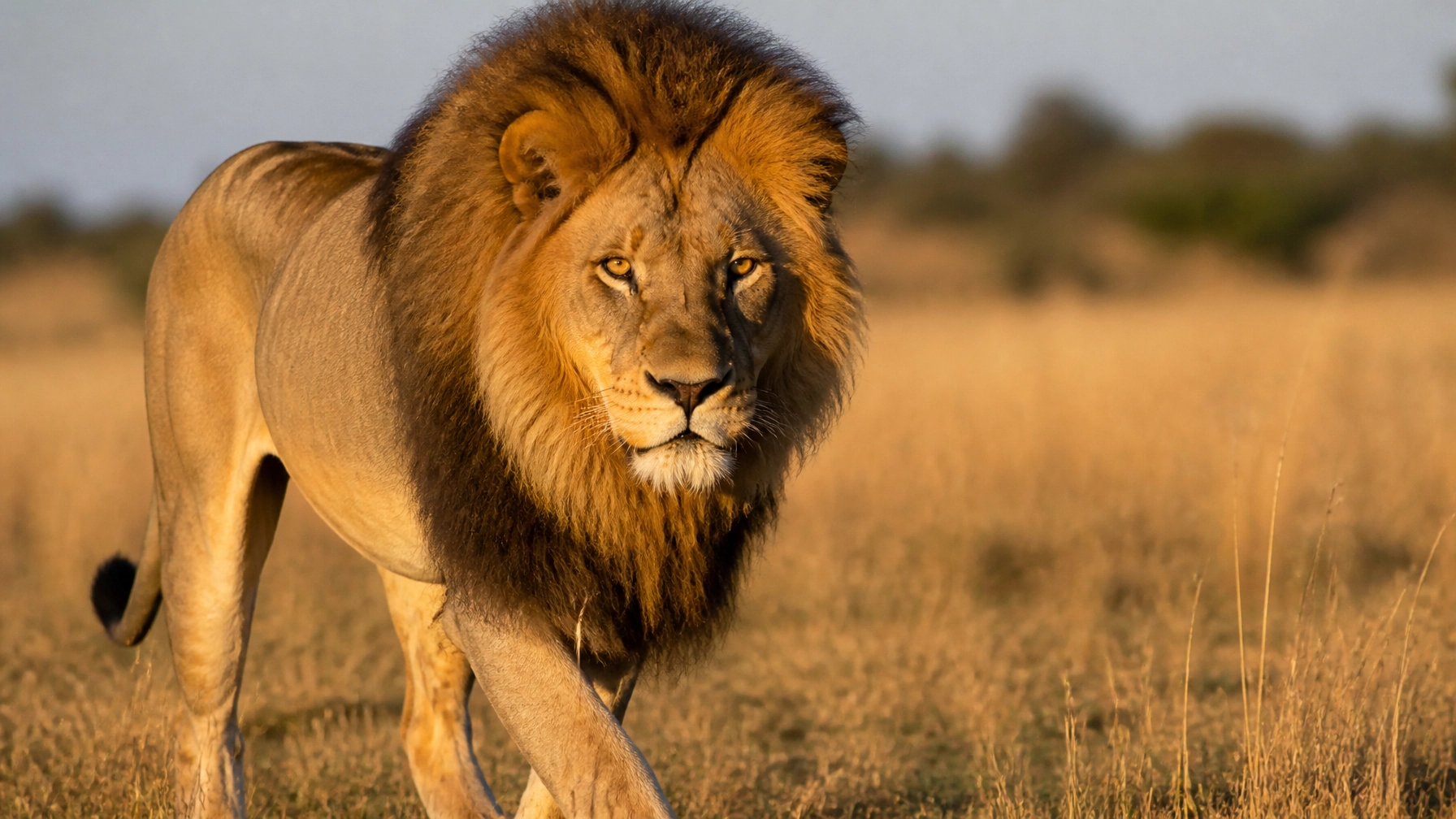 Daily Blog: Animal Photography & Zoo Marketing – August 4, 2026