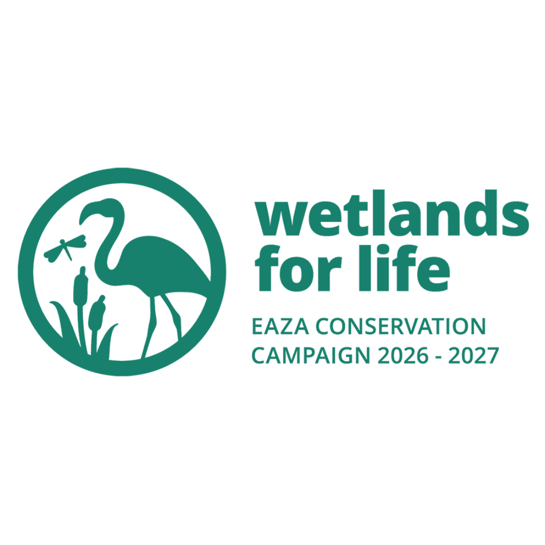 Daily Newsletter: Sustainable Wildlife Marketing Insights – August 13, 2026