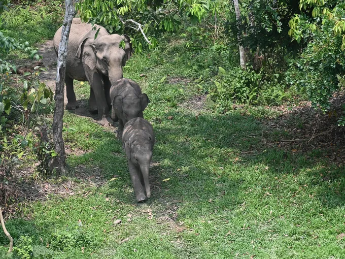 Daily Press Release: Species Spotlights & Conservation News