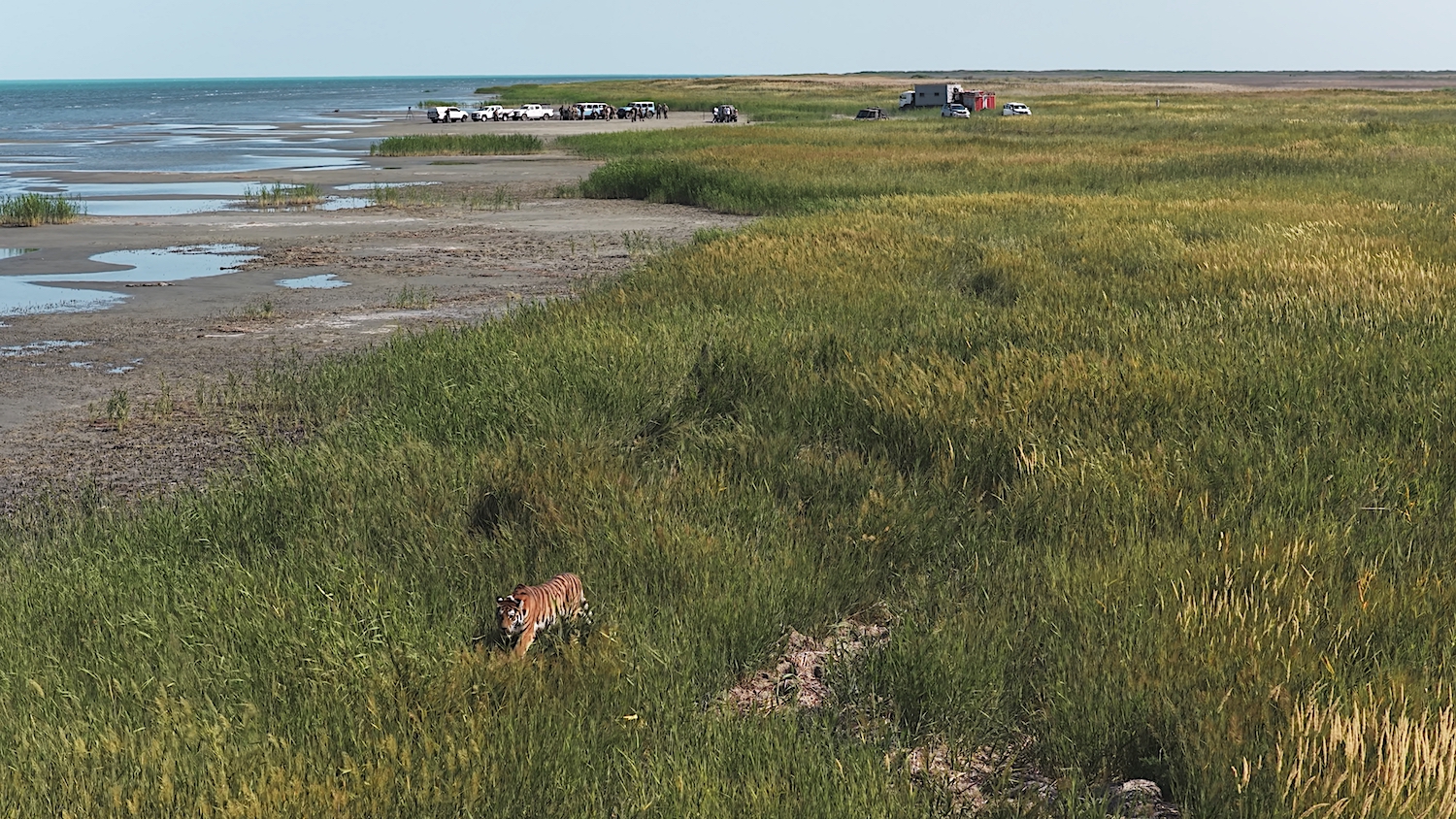 Daily Press Release: Species Spotlights & Conservation News – August 9, 2026